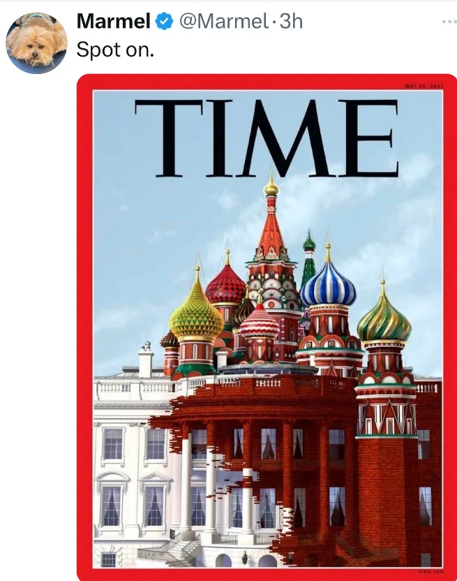 Can I please exit this timeline? It's getting too wild!