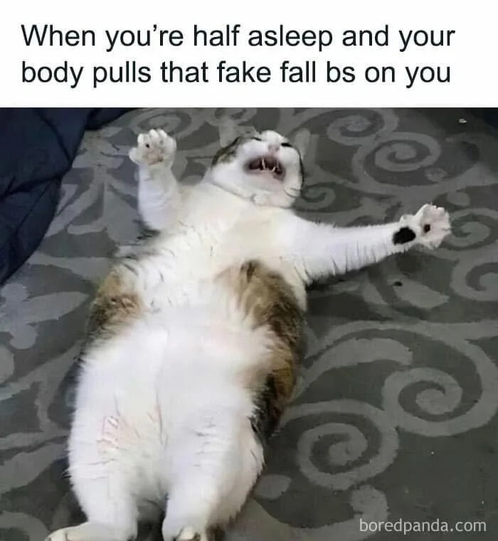 A plump, white-and-brown cat lies on its back on a patterned carpet, arms and legs splayed, mouth open in a yawn or meow…