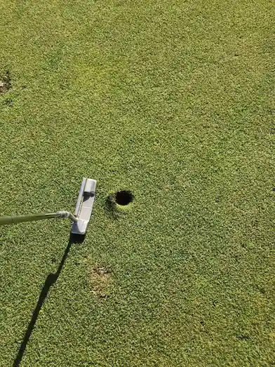 A close-up shot of a golf putting green with a silver putter head positioned just beside the hole, which is empty. The grass…
