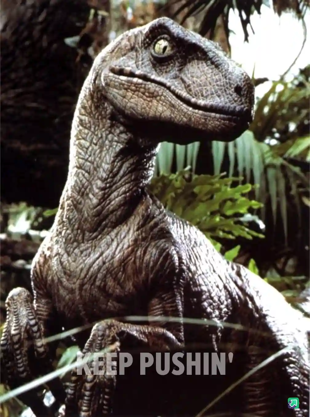 A close-up image of a realistic-looking Velociraptor from the movie Jurassic Park, shown in a jungle setting with green…