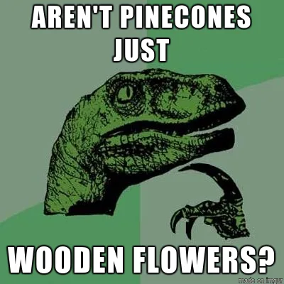 The image features the iconic 'Philosoraptor' meme template, showing a green, stylized illustration of a raptor with a…