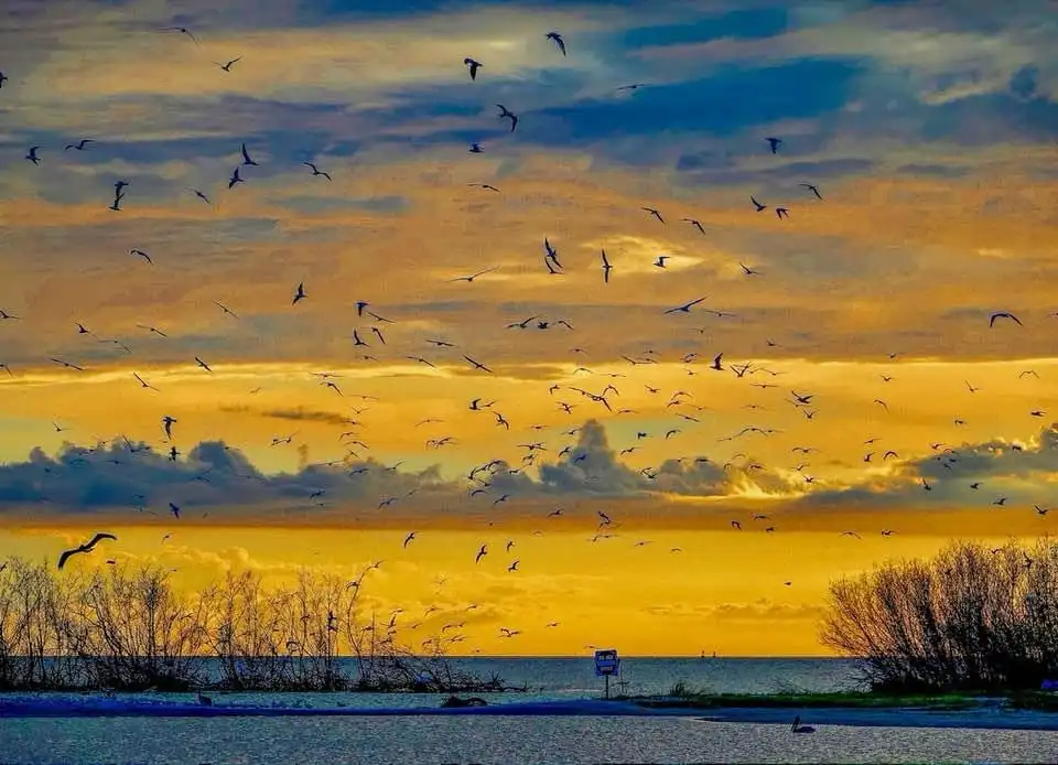 A Beautiful Haven for Seabirds