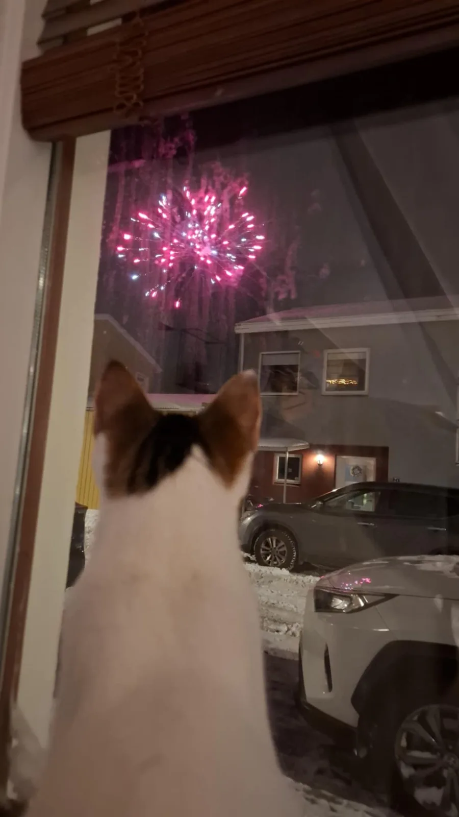 Cheers to the New Year from Iceland!