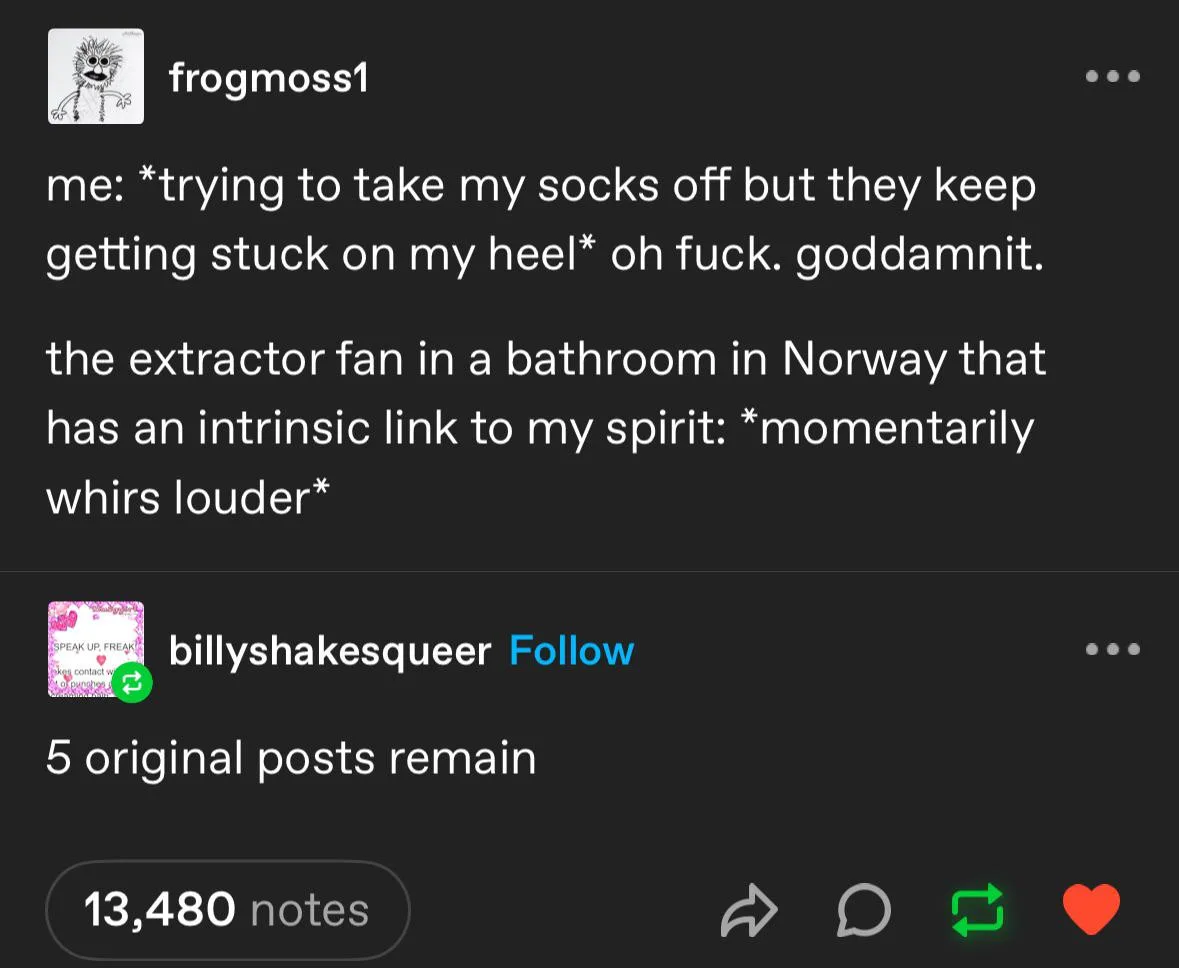 A screenshot of a Tumblr post by user 'frogmoss1' showing a humorous complaint about socks stuck on a heel, followed by a…