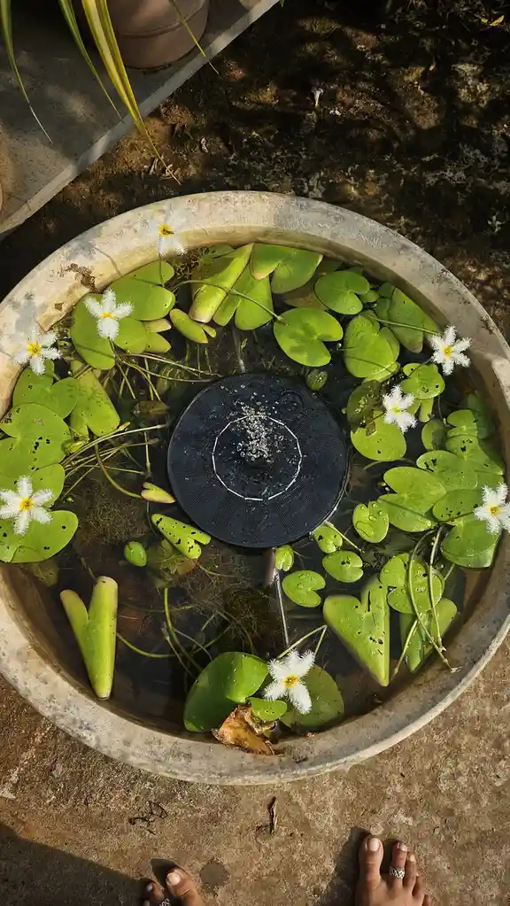 A Splash of Color: The Green Dump Adventure
