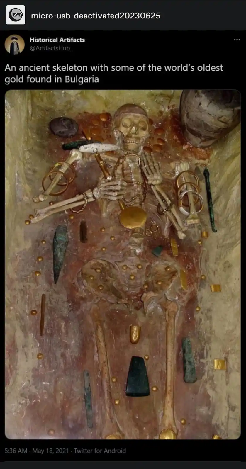 An ancient human skeleton lies in a burial chamber, adorned with numerous gold artifacts including rings, beads, and a disc…