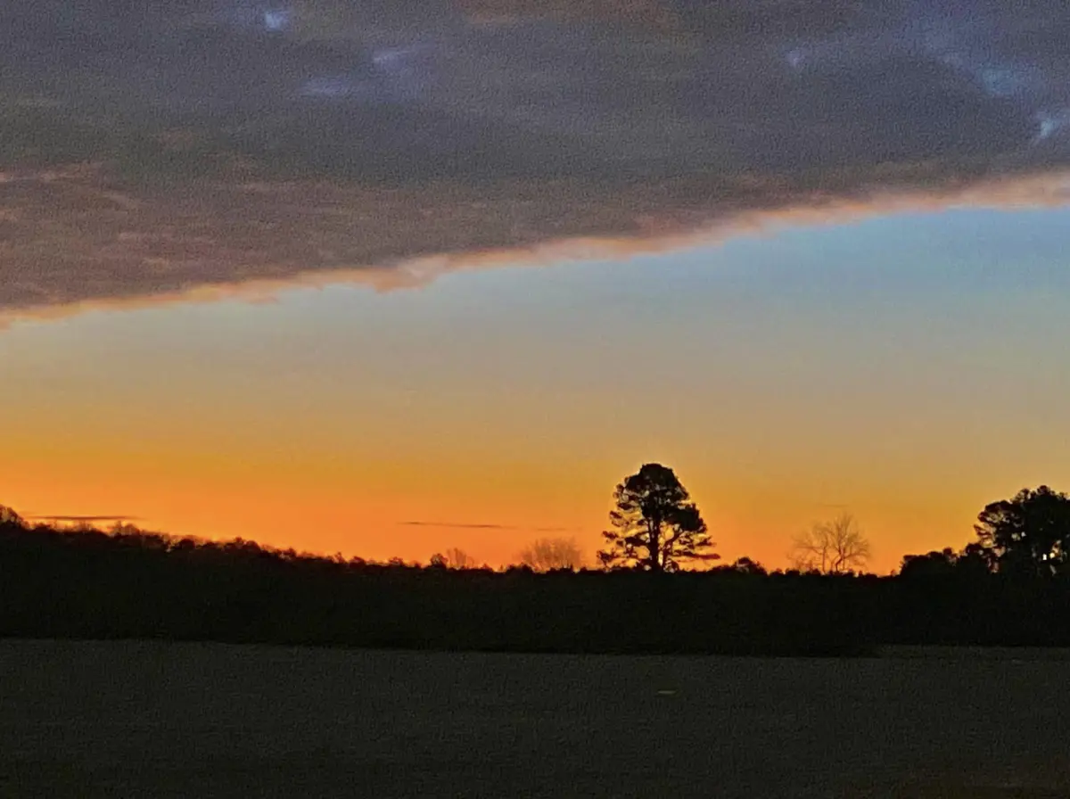 A serene landscape photo of a sunset over a field with silhouetted trees, featuring a dramatic sky with orange and purple…