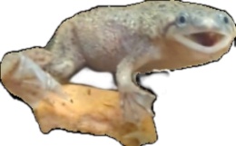 A digitally edited image of a light-brown frog with large blue eyes, perched on a log, has its mouth wide open in an…