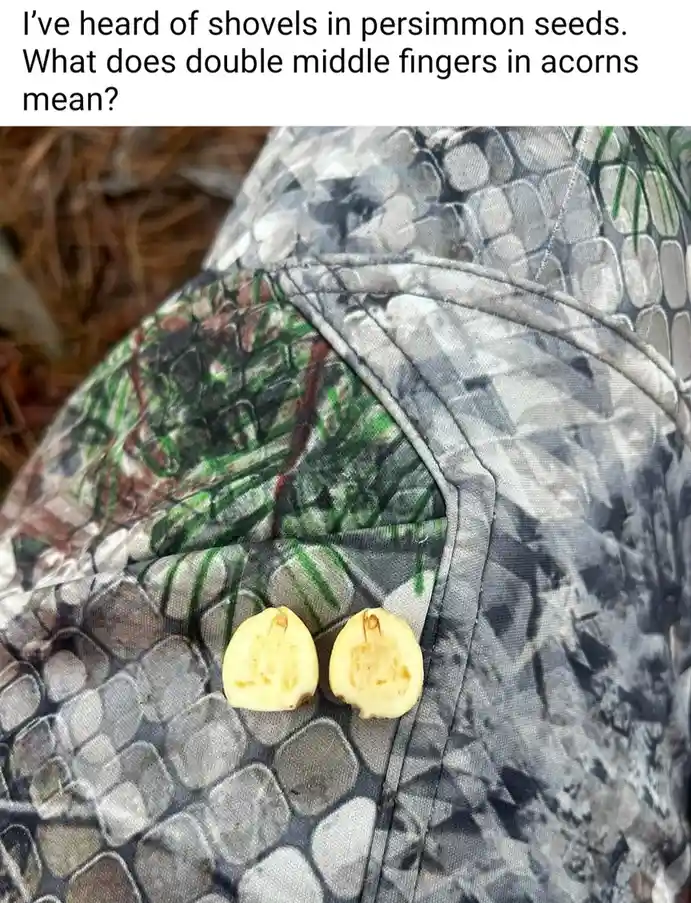 Two halved acorns rest on a camouflage-patterned fabric, with overlaid text asking about a pun involving 'double middle…
