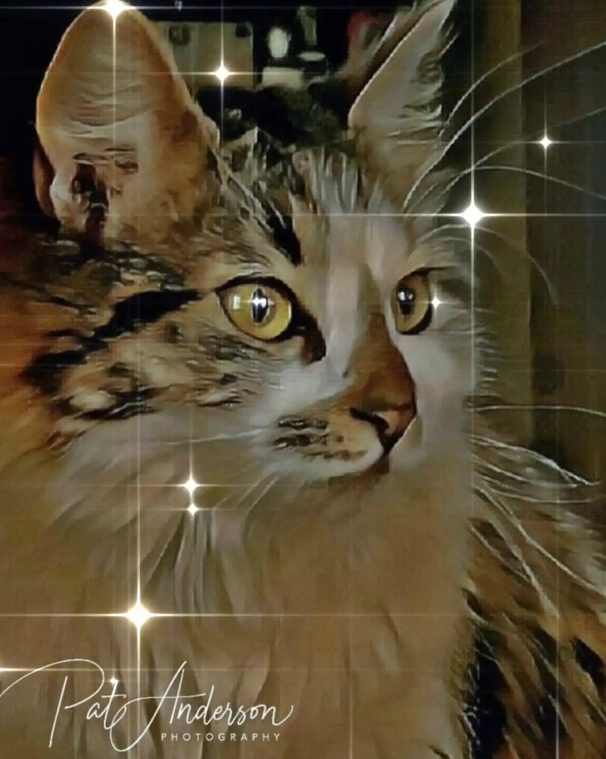 A close-up photo of a fluffy tabby cat with striking yellow eyes, looking directly at the camera. The image is heavily…