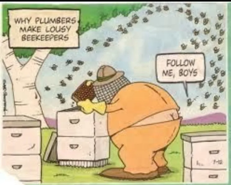 A cartoon beekeeper in a full-body suit and hat is bent over a beehive, with bees swarming around him. A speech bubble above…
