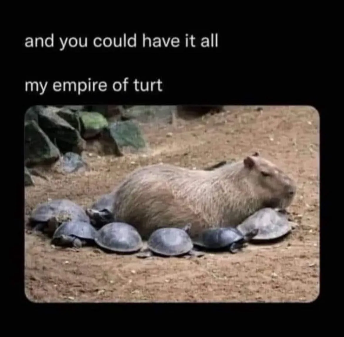 Just Take It Already!