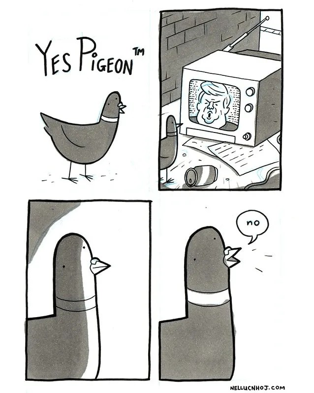 A four-panel comic strip titled 'YES PIGEON™' shows a pigeon watching a TV screen displaying an angry man, then turning away…