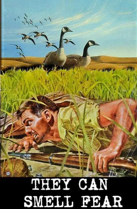 A vintage-style hunting illustration shows a man in a field, prone with a rifle, looking terrified as two geese stand…