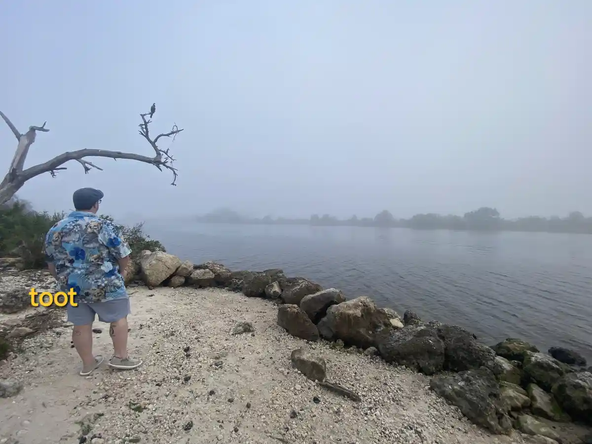 A man in a blue floral shirt and grey shorts stands on a foggy riverbank, facing a mist-covered waterway with a dead tree…