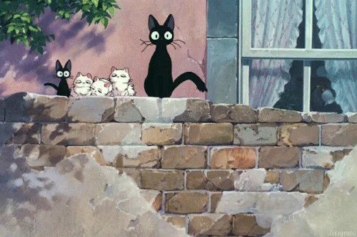 Just a little jiji!