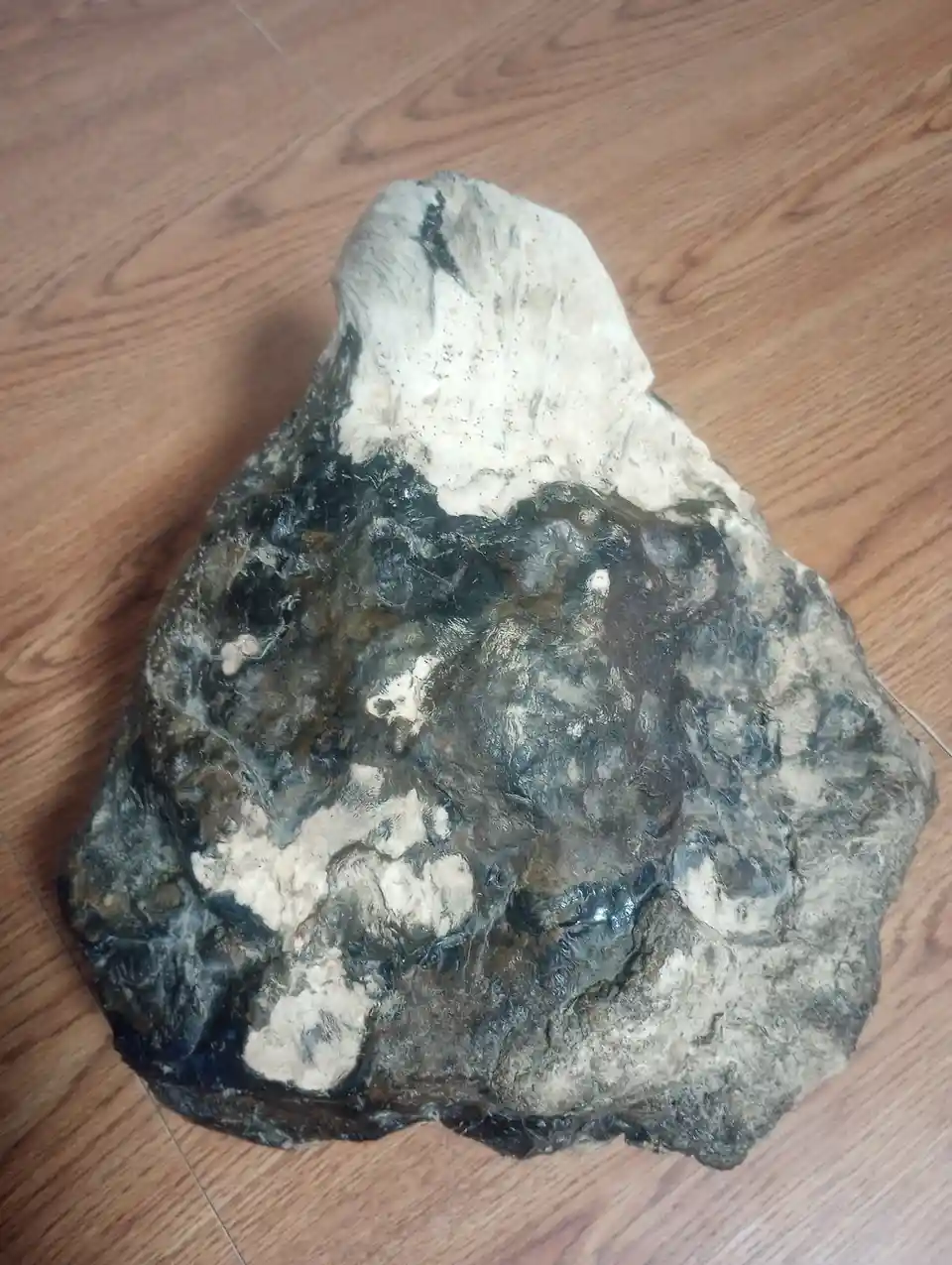 A large, irregularly shaped rock with dark and light patches rests on a wooden floor, its top portion resembling a dog's…