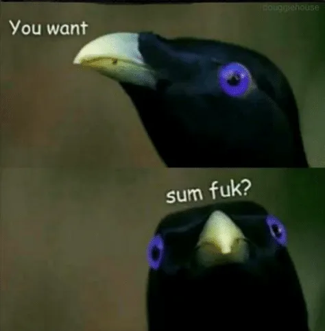 The image shows a black bird with a yellow beak and striking purple eyes in two panels. In the top panel, the bird looks…