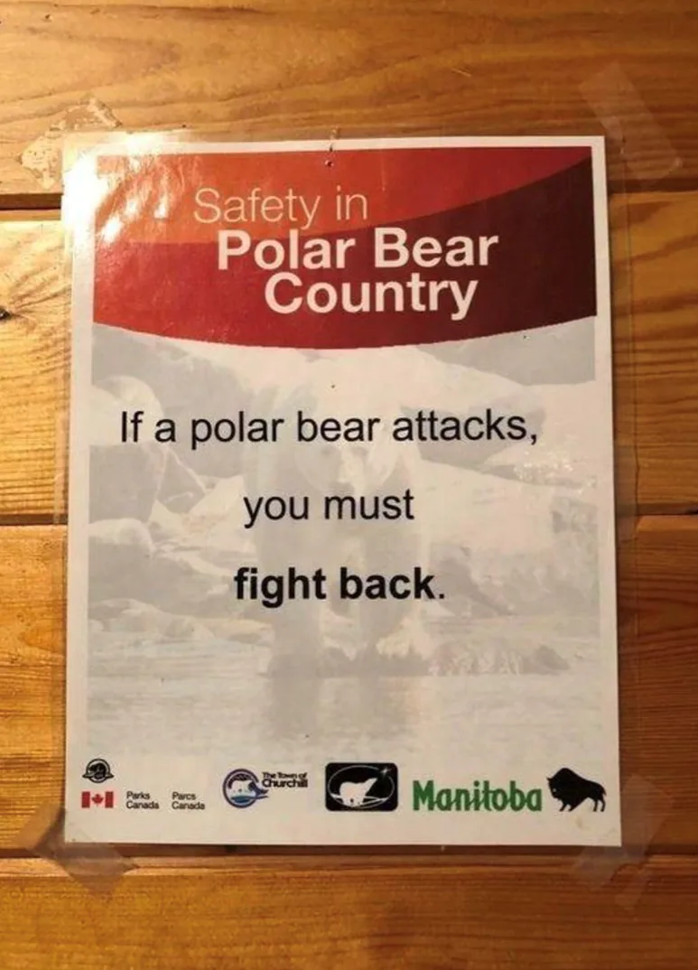 A safety sign posted on a wooden surface reads 'Safety in Polar Bear Country' with the instruction 'If a polar bear attacks…