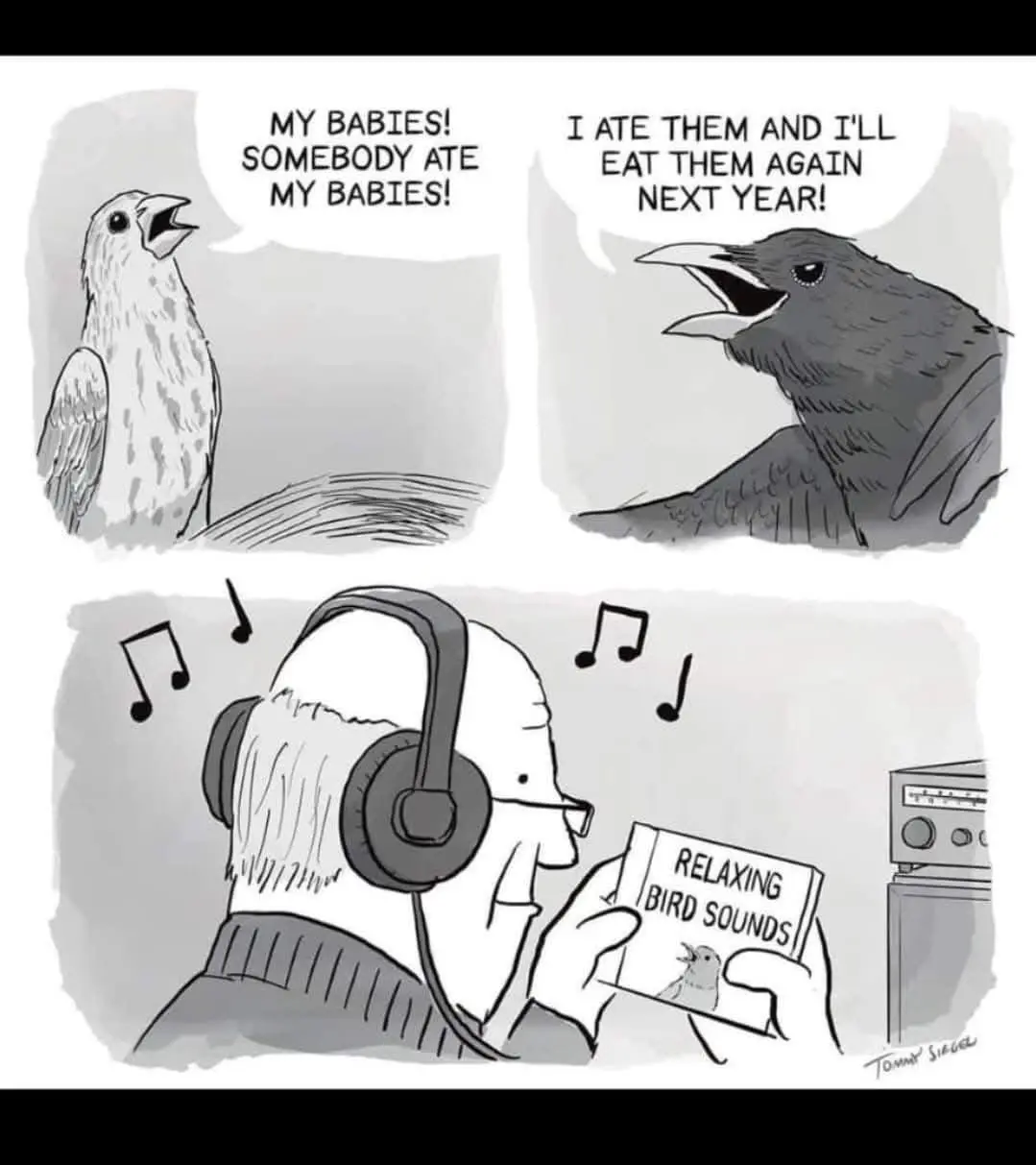 A three-panel black-and-white comic strip shows a distressed bird crying 'MY BABIES! SOMEBODY ATE MY BABIES!' while another…