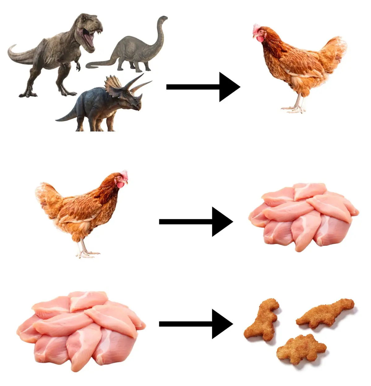 The image displays a three-step visual progression: first, three dinosaurs (T-Rex, brachiosaurus, triceratops) point to a…