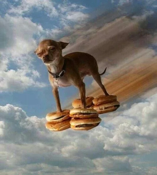 A small brown chihuahua stands atop a stack of four hamburgers, floating through a cloudy sky with a motion blur trail…
