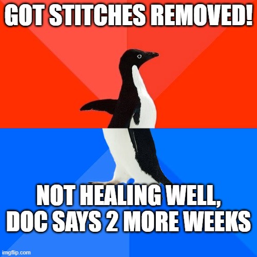 An image of an Adélie penguin standing upright against a red and blue background. The top text reads 'GOT STITCHES REMOVED!'…