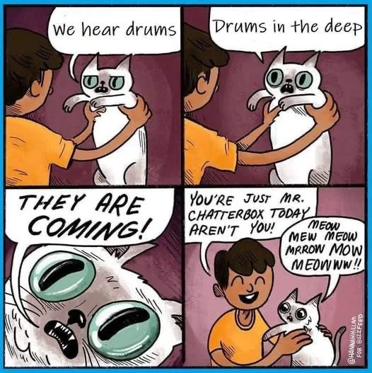 A four-panel comic shows a person holding a white cat. The cat hears drums and panics, yelling 'THEY ARE COMING!' in the…
