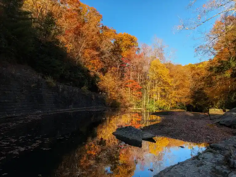 A serene autumn landscape featuring a calm body of water reflecting vibrant orange and yellow foliage against a clear blue…