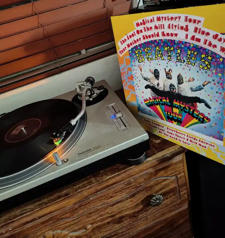 Embark on a whimsical magical mystery tour