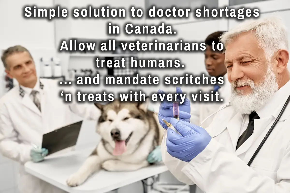 A photo shows a smiling older male veterinarian in a white coat and blue gloves holding a syringe near a happy husky dog…