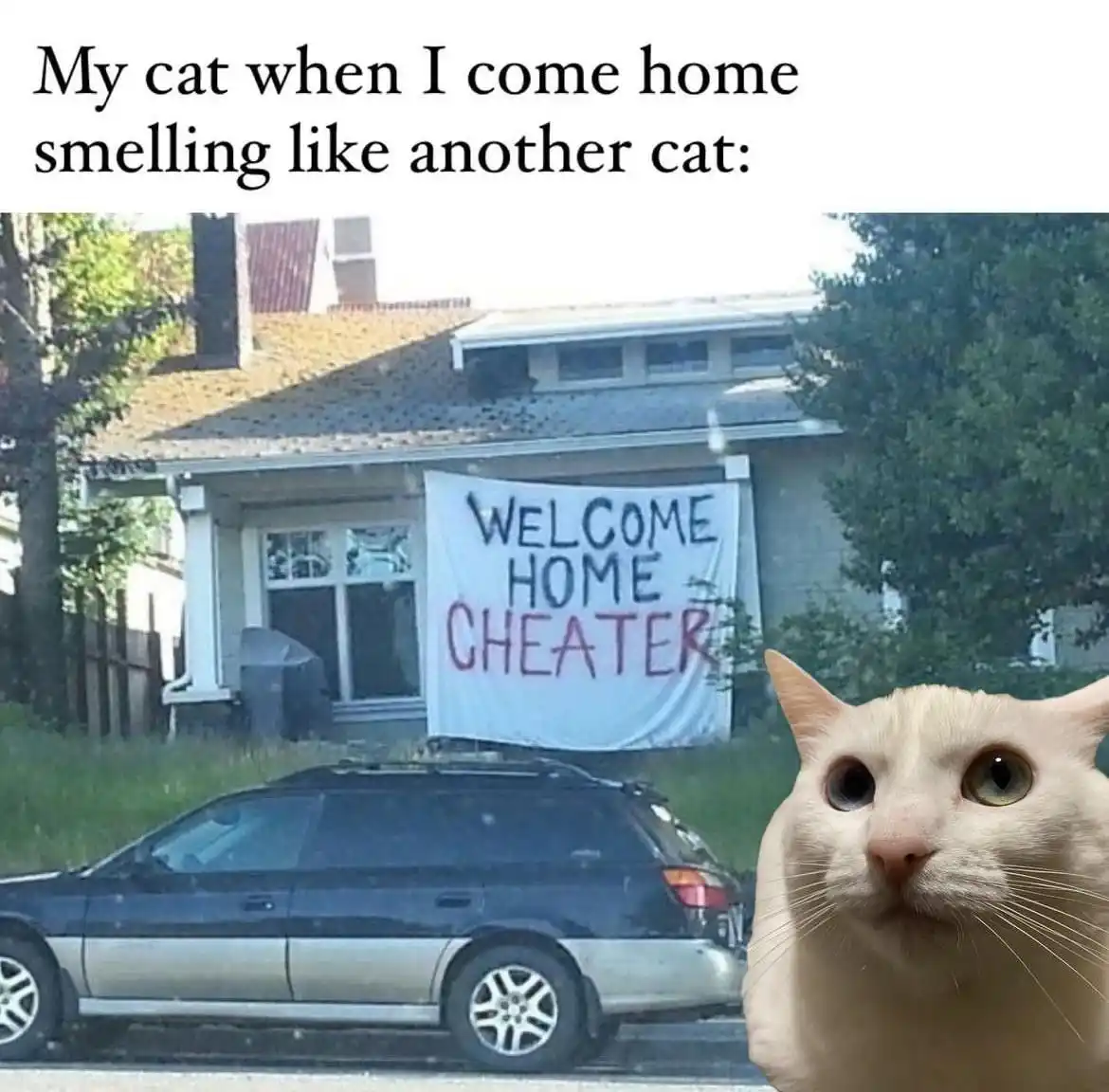 Shame on You for That!