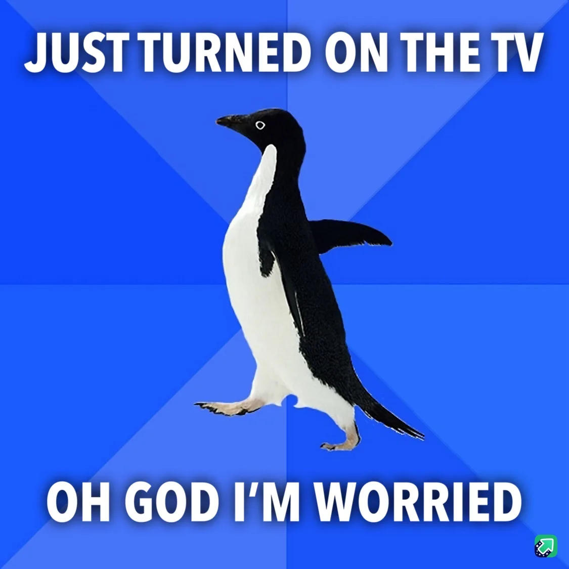 A black-and-white penguin stands against a blue geometric background, with bold white text at the top reading 'JUST TURNED…