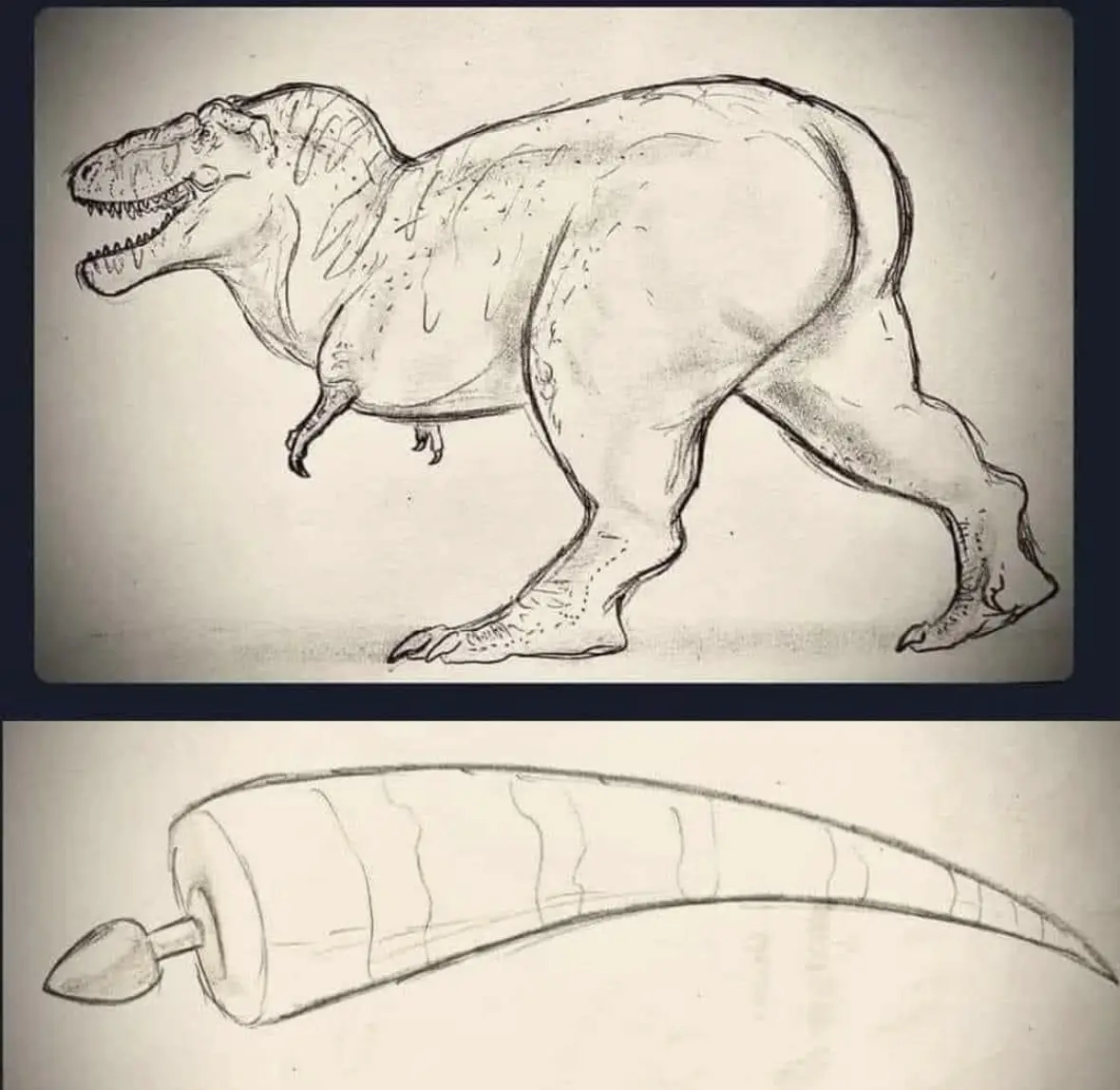 A pencil sketch of a Tyrannosaurus rex is shown above, and below it is a sketch of a carrot-shaped object with a pointed tip…