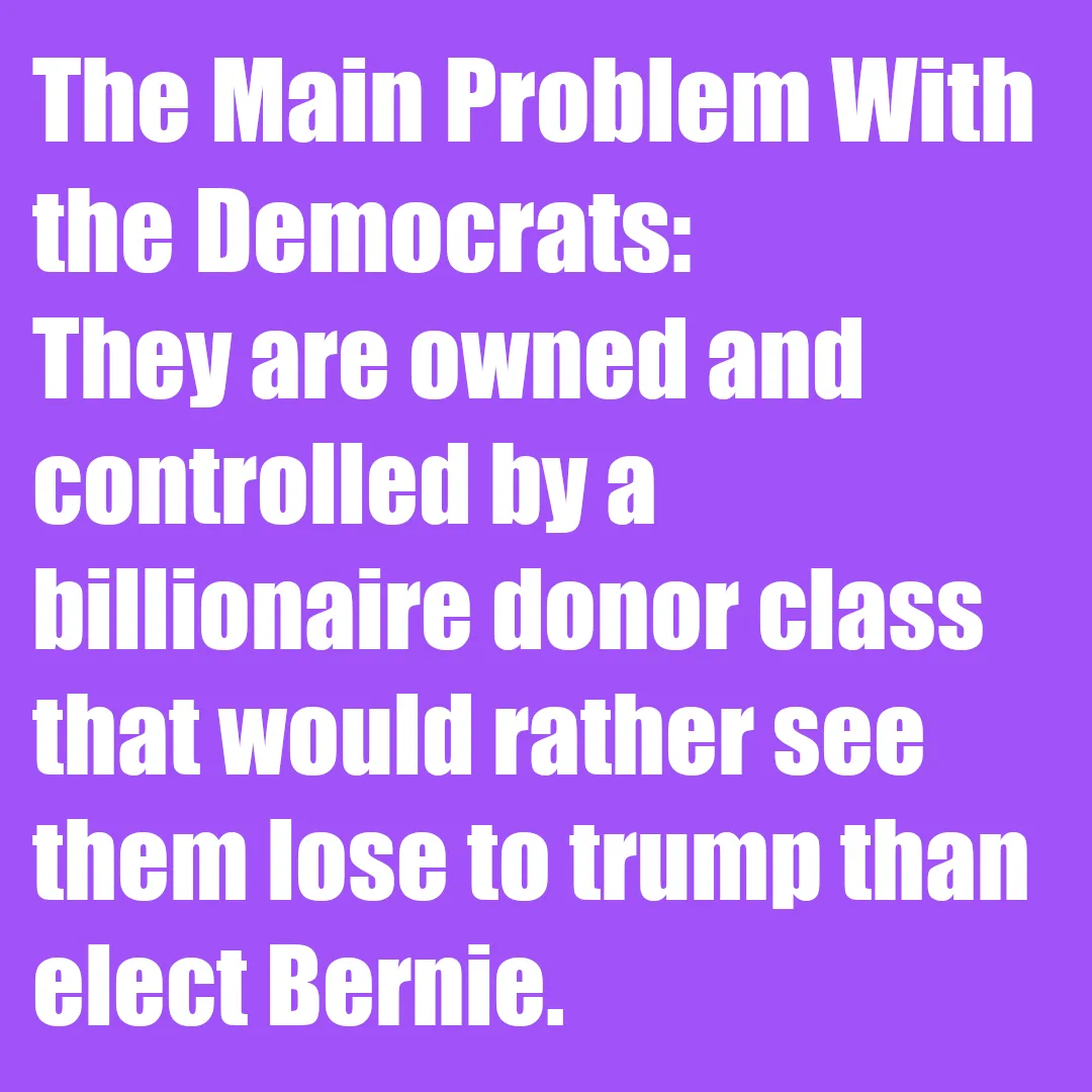 A solid purple background with large, white, sans-serif text that reads: 'The Main Problem With the Democrats: They are…
