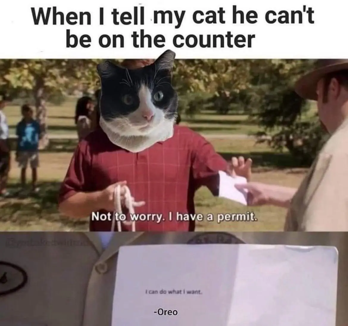 A person in a red shirt has a black-and-white cat's head superimposed on their face, holding a rope while handing a document…