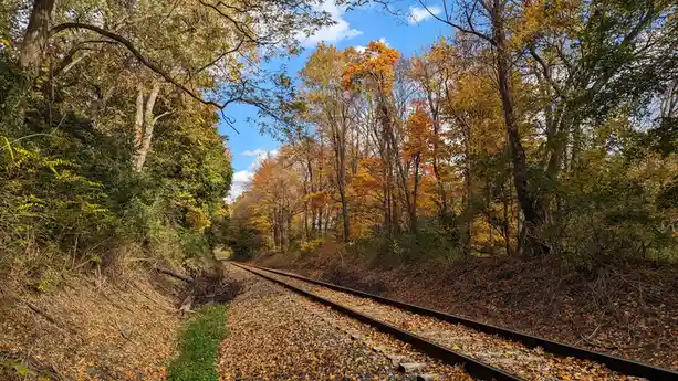 A scenic autumn photo shows empty railroad tracks winding through a forest with vibrant yellow and orange foliage under a…