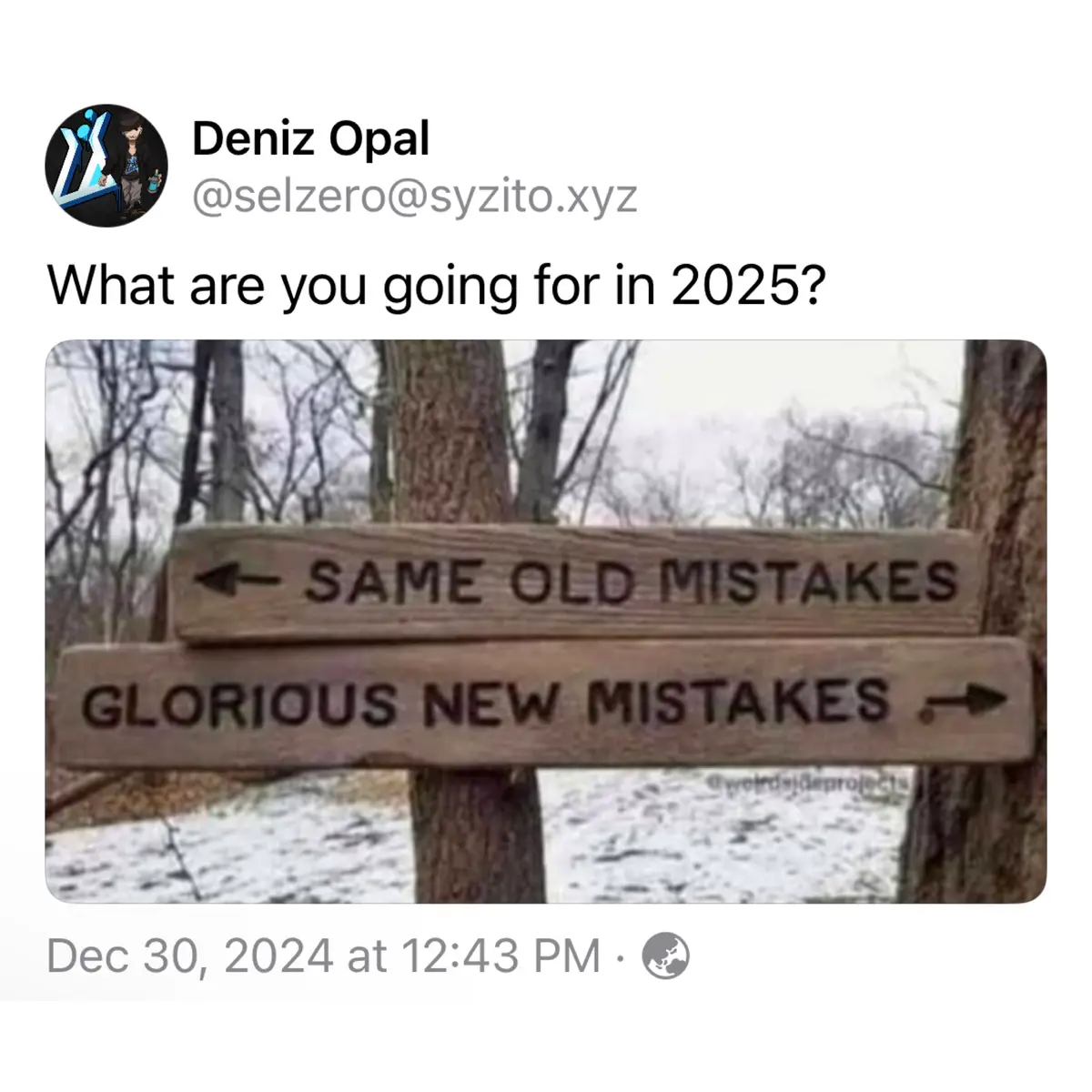 A screenshot of a social media post by Deniz Opal asking 'What are you going for in 2025?' featuring an image of two wooden…