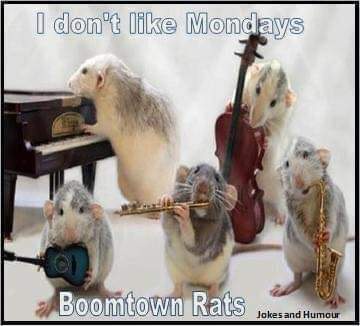 Five rats are dressed in human-style musical attire, playing instruments including a piano, violin, flute, camera, and…