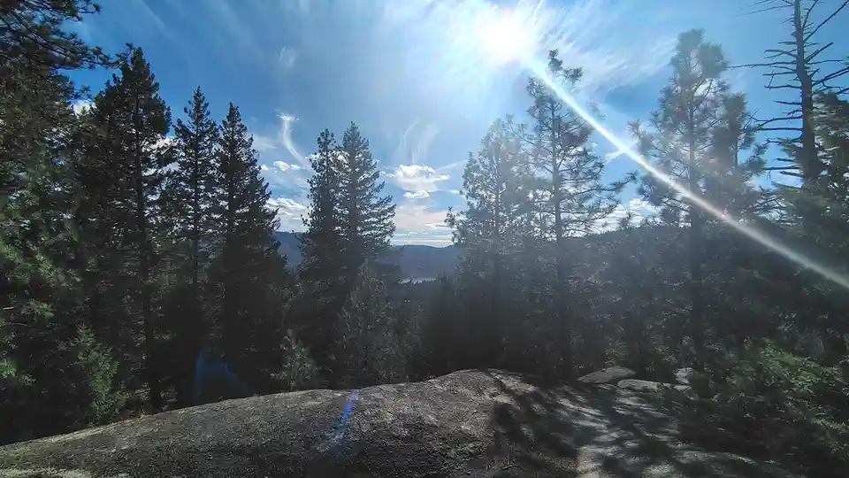 A bright, sunlit forest scene with tall pine trees silhouetted against a blue sky with wispy clouds. The sun shines…