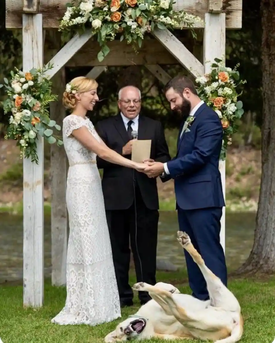 A bride and groom stand at an outdoor wedding arch, holding hands with a smiling officiant between them. In the foreground…