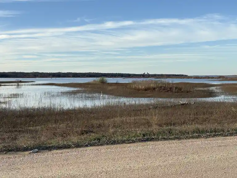 A wide shot of a wetland with a gravel road in the foreground, a white bird standing in shallow water, and oil pumpjacks…