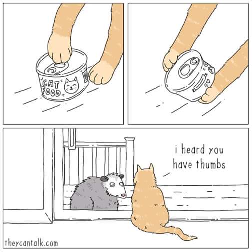 A three-panel comic shows a cat opening a can of cat food with its paw, then holding the can upside down. In the final…