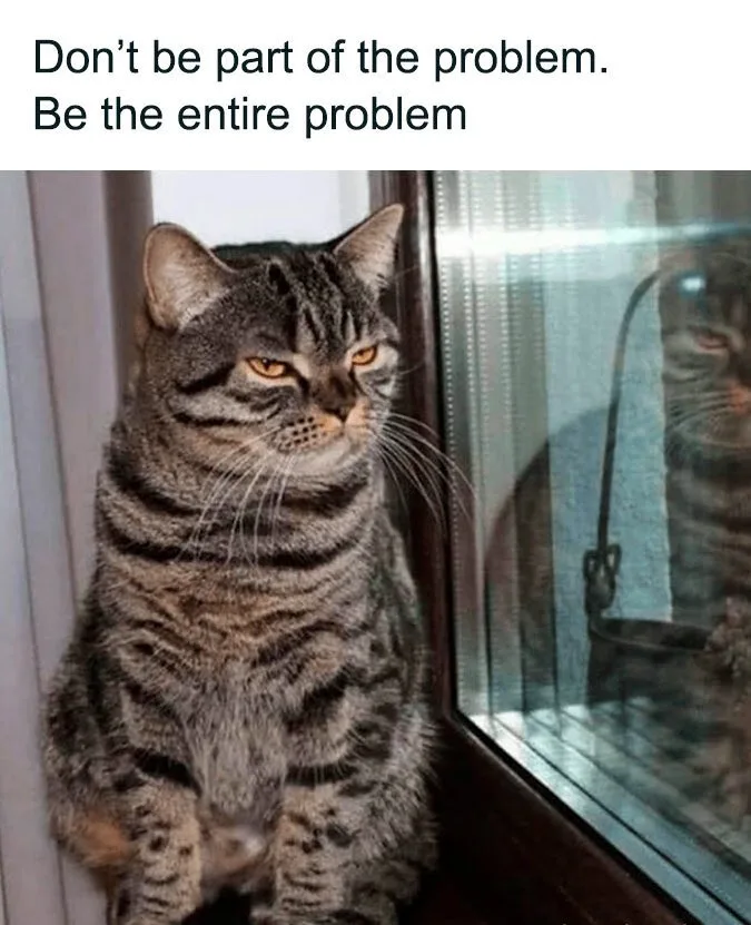 A gray tabby cat with orange eyes sits on a windowsill, looking intensely at its reflection in the glass. The text overlaid…
