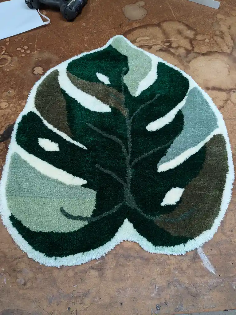 The beauty of a Monstera leaf