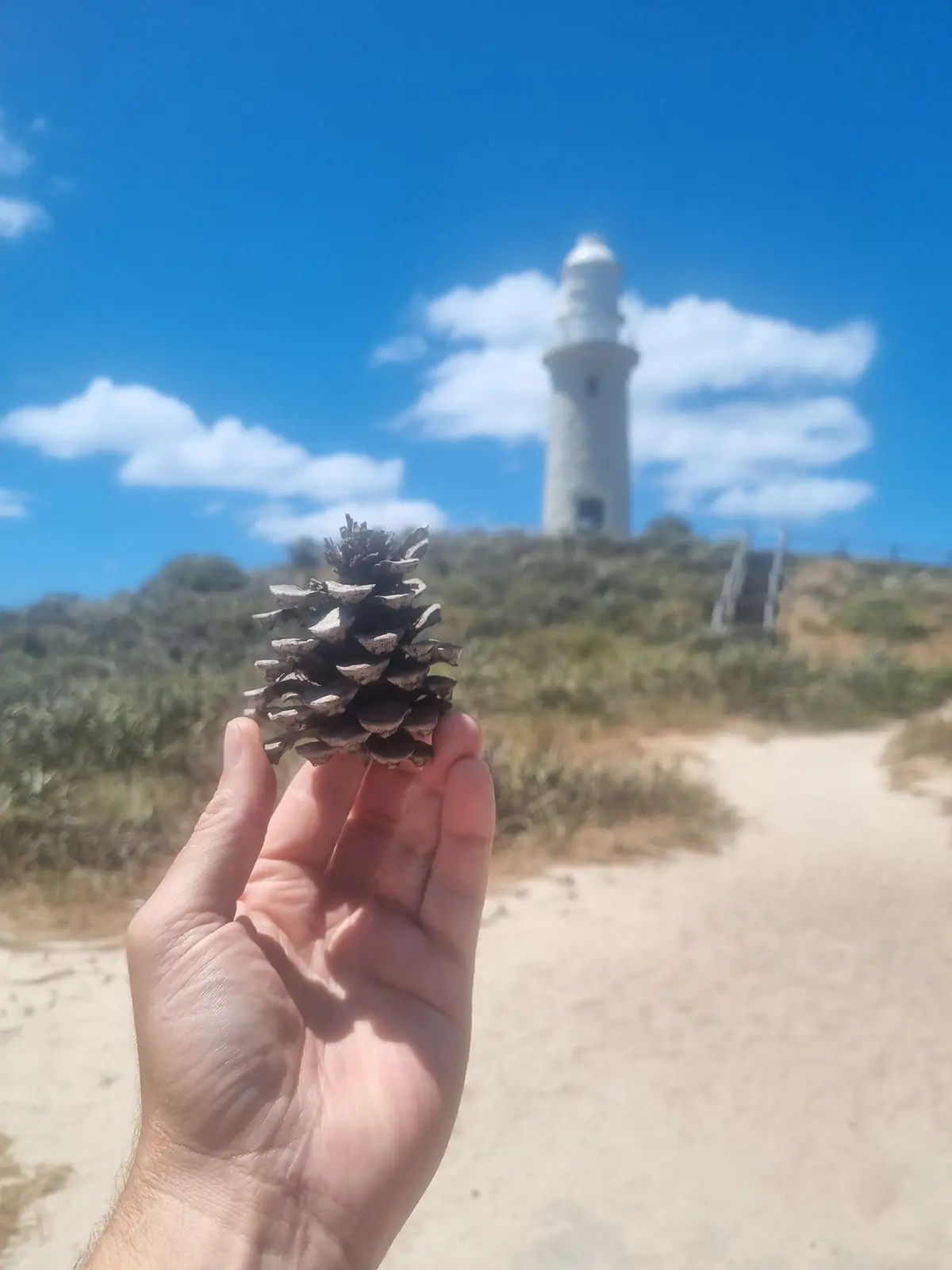 A hand holds a pinecone in sharp focus in the foreground, with a blurred white lighthouse on a dune in the background under…