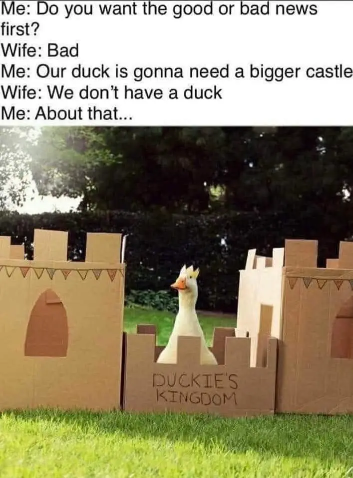 A white duck wearing a small yellow crown stands in a cardboard castle labeled 'DUCKIE'S KINGDOM' on a grassy lawn. The…