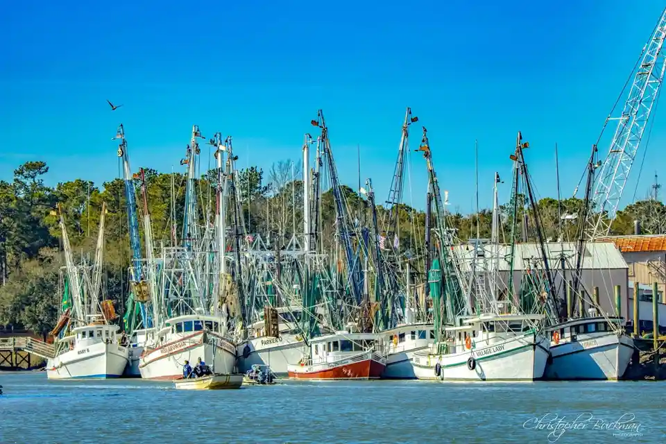 A bright, clear day at a harbor with numerous fishing boats docked side-by-side, their tall masts and rigging creating a…