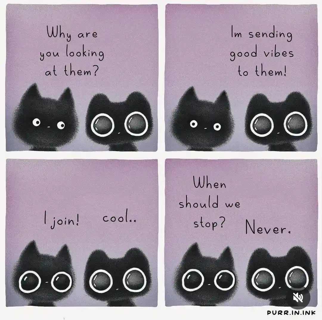 A four-panel comic featuring two cartoon black cats with large eyes. In the first panel, one cat asks why the other is…