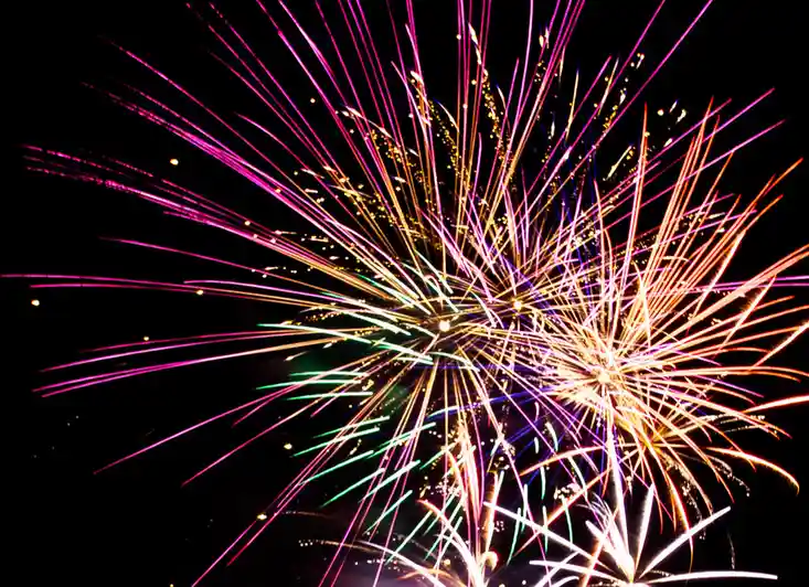 Ring in 2025 with Joy: Happy New Year!